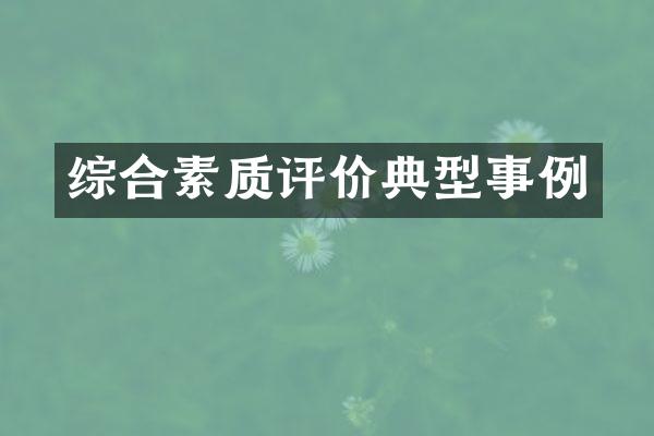 综合素质评价典型事例