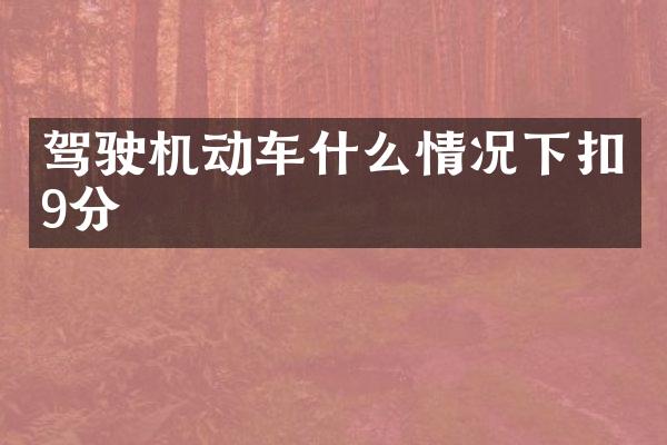 驾驶机动车什么情况下扣9分