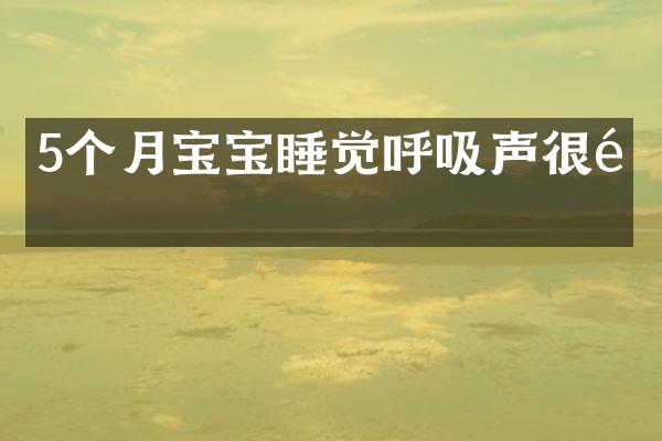 5个月宝宝睡觉呼吸声很重