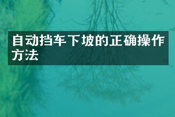 自动挡车下坡的正确操作方法