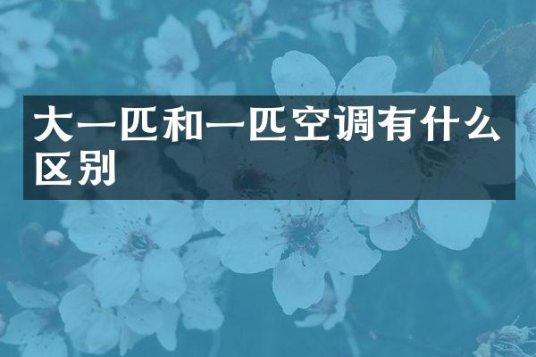 大一匹和一匹空调有什么区别
