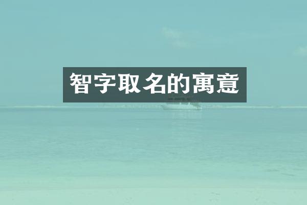 智字取名的寓意