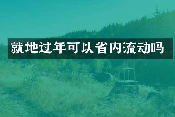就地过年可以省内流动吗