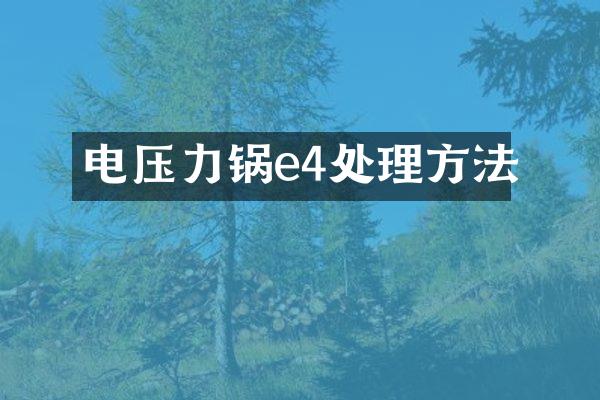 电压力锅e4处理方法