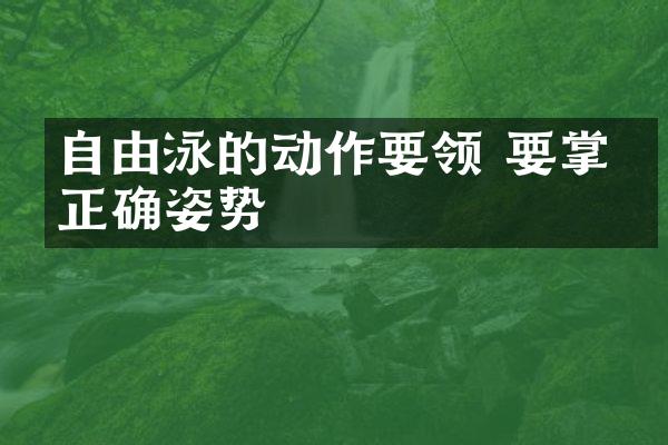 自由泳的动作要领 要掌握正确姿势