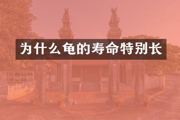 为什么龟的寿命特别长