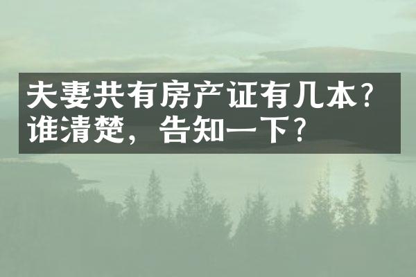 夫妻共有房产证有几本？谁清楚，告知一下？