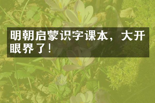 明朝启蒙识字课本，大开眼界了！
