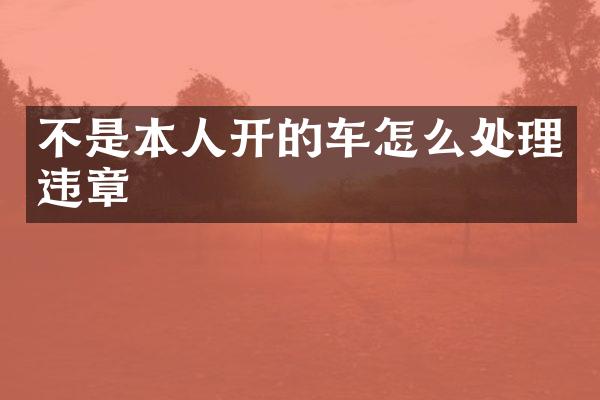 不是本人开的车怎么处理违章
