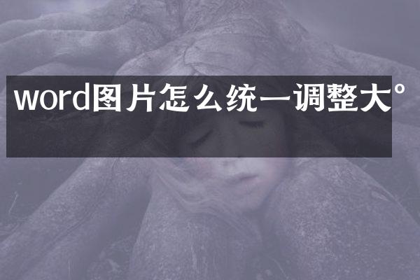 word图片怎么统一调整大小