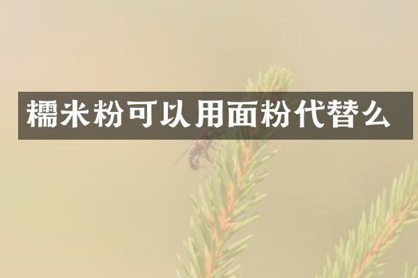 糯米粉可以用面粉代替么