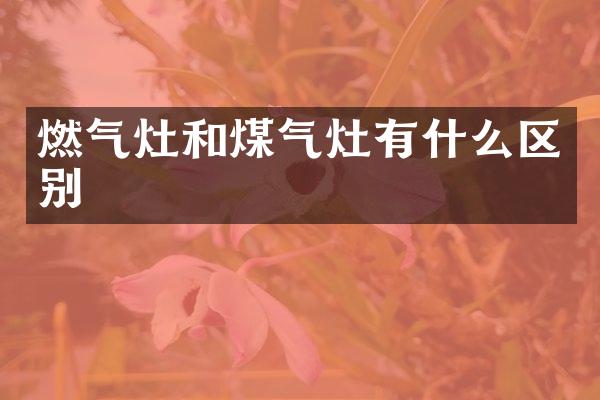 燃气灶和煤气灶有什么区别