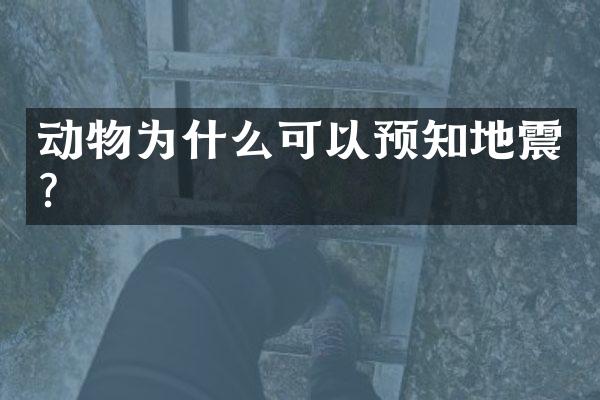 动物为什么可以预知地震?
