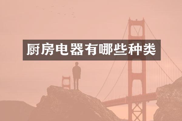 厨房电器有哪些种类