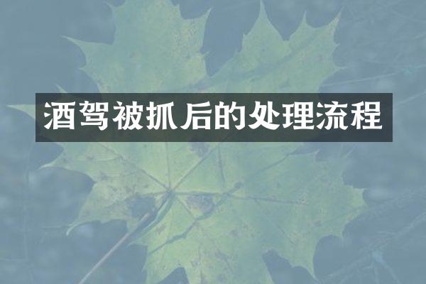 酒驾被抓后的处理流程