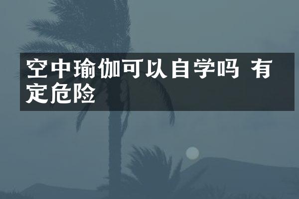 空中瑜伽可以自学吗 有一定危险