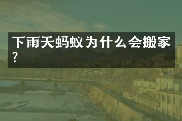 下雨天蚂蚁为什么会搬家？