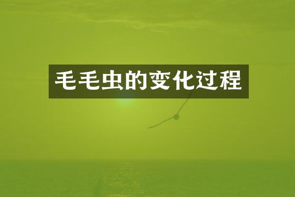 毛毛虫的变化过程