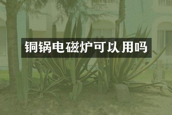 铜锅电磁炉可以用吗