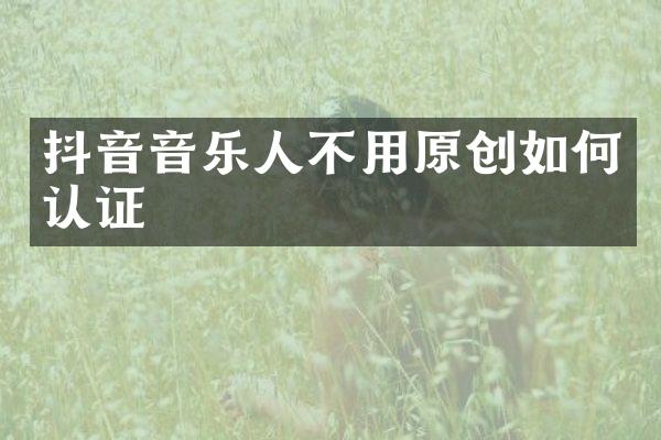 抖音音乐人不用原创如何认证