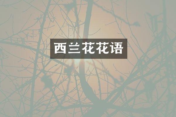 西兰花花语