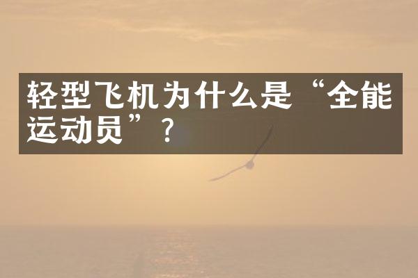 轻型飞机为什么是“全能运动员”？