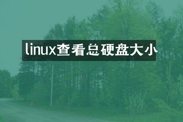 linux查看总硬盘大小