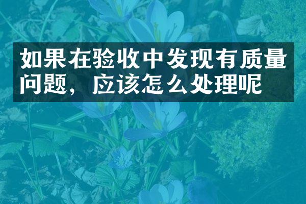 如果在验收中发现有质量问题，应该怎么处理呢？