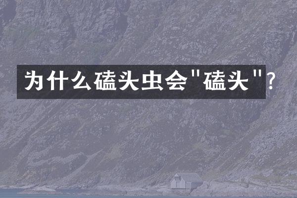 为什么磕头虫会"磕头"?