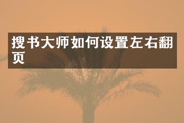 搜书大师如何设置左右翻页