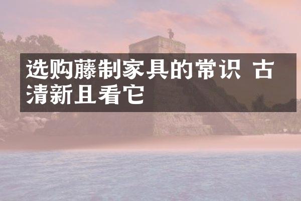 选购藤制家具的常识 古朴清新且看它
