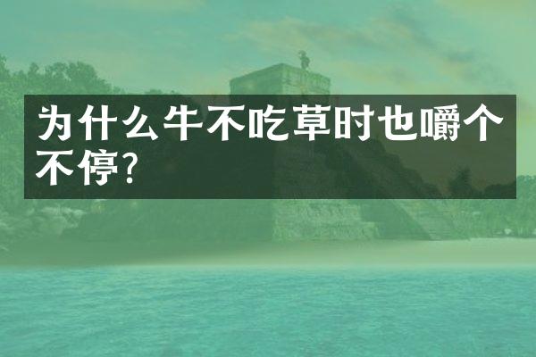 为什么牛不吃草时也嚼个不停?