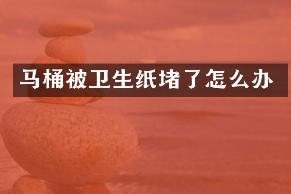 马桶被卫生纸堵了怎么办