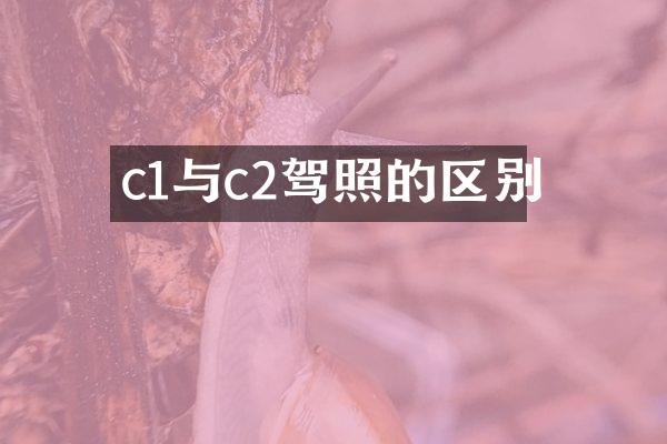 c1与c2驾照的区别