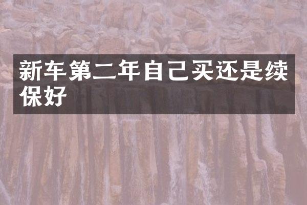 新车第二年自己买还是续保好