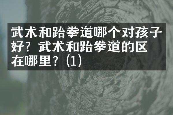 武术和跆拳道哪个对孩子好？武术和跆拳道的区别在哪里？(1)