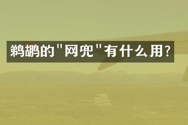鹈鹕的"网兜"有什么用？