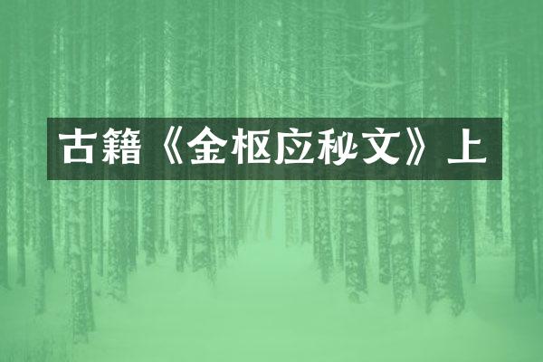 古籍《金枢应秘文》上