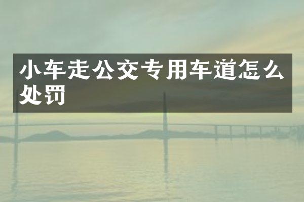 小车走公交专用车道怎么处罚