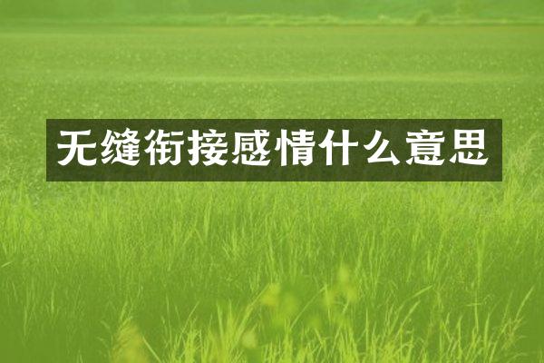 无缝衔接感情什么意思