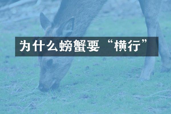 为什么螃蟹要“横行”