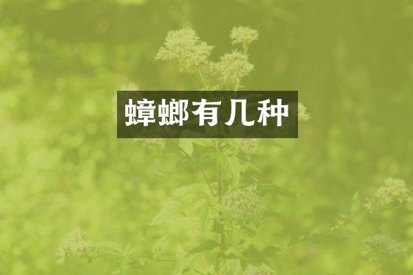 蟑螂有几种