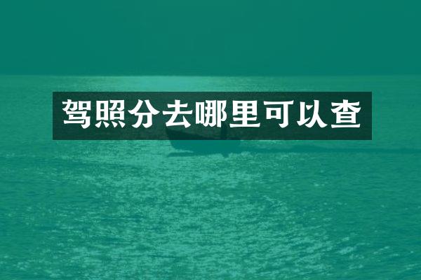 驾照分去哪里可以查