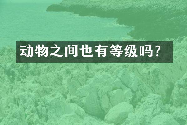 动物之间也有等级吗？
