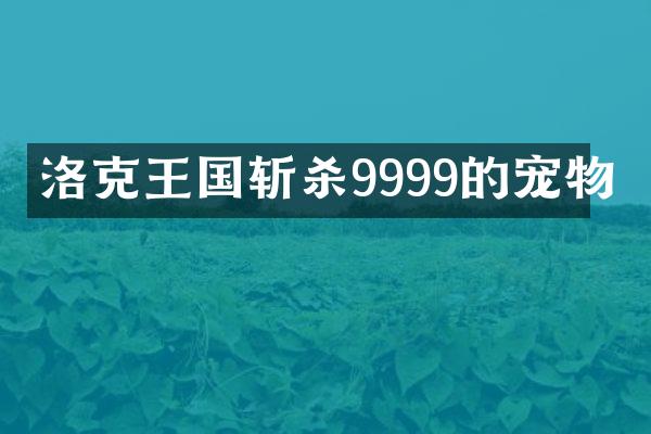 洛克王国斩杀9999的宠物