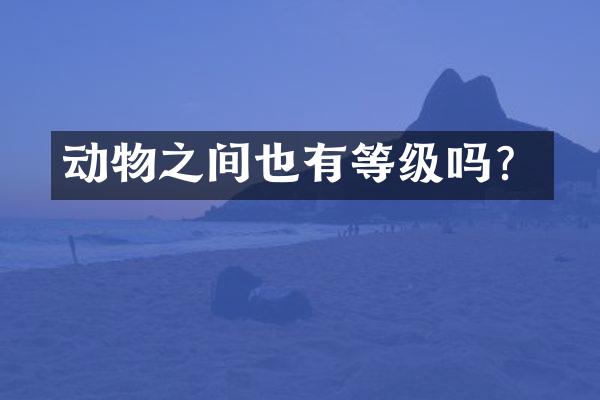 动物之间也有等级吗？
