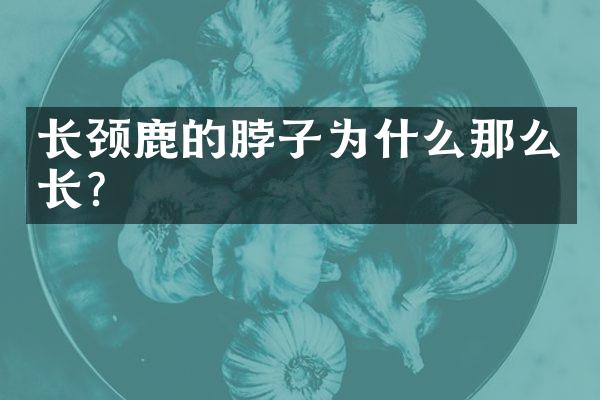 长颈鹿的脖子为什么那么长？