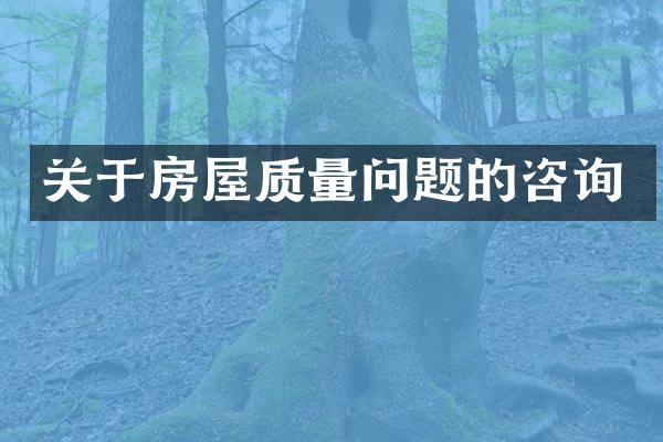 关于房屋质量问题的咨询