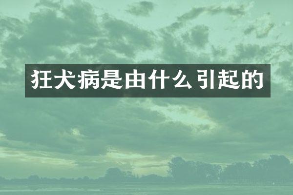 狂犬病是由什么引起的