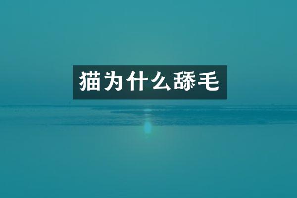 猫为什么舔毛